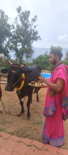 Gopuja on 11-09-2025