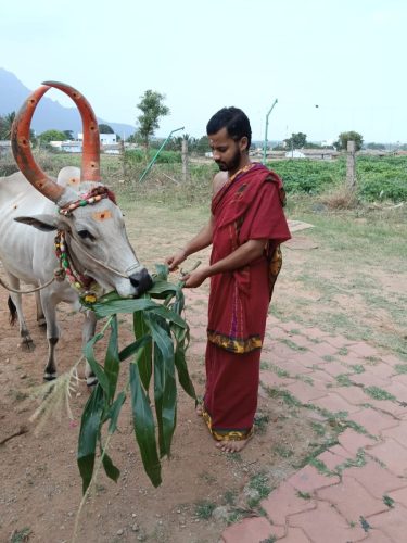 Gopuja on 12-09-2025