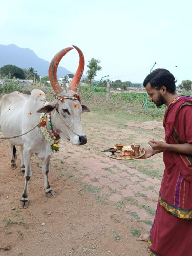 WhatsApp-Image-2025-09-12-at-6.23.44-PM