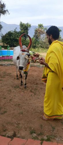 Gopuja on 13-09-2025