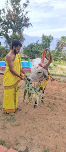 WhatsApp-Image-2025-09-13-at-4.24.37-PM