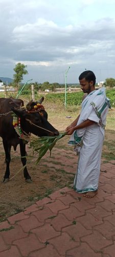 WhatsApp-Image-2025-09-15-at-8.04.35-PM-2