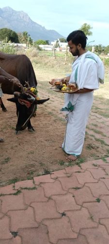 WhatsApp-Image-2025-09-15-at-8.04.35-PM