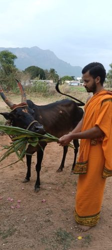 Gopuja on 16-09-2025