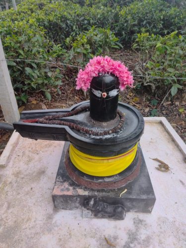 WhatsApp-Image-2025-09-17-at-12.07.47-PM