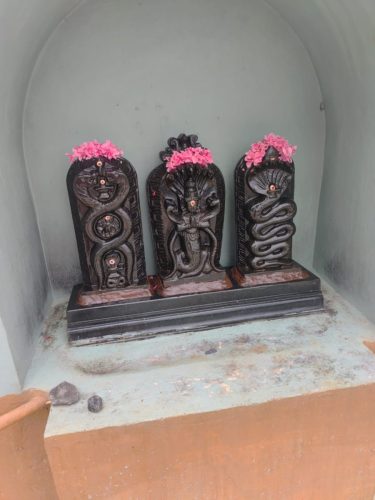 WhatsApp-Image-2025-09-17-at-12.07.49-PM