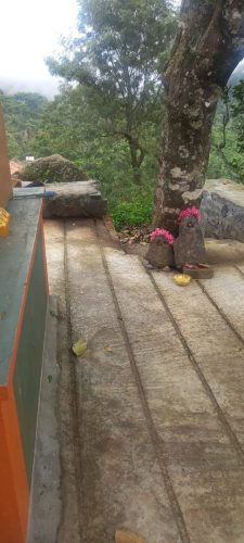 WhatsApp-Image-2025-09-18-at-2.56.12-PM-1