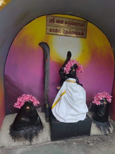 WhatsApp-Image-2025-09-19-at-1.44.26-PM-2