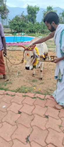 WhatsApp-Image-2025-09-20-at-5.49.21-PM-1