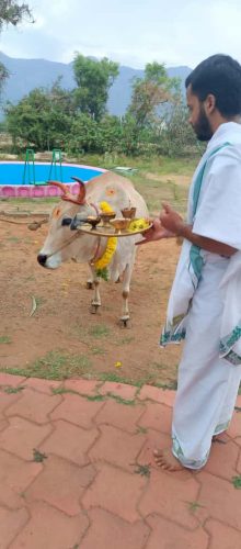 Gopuja on 20-09-2025