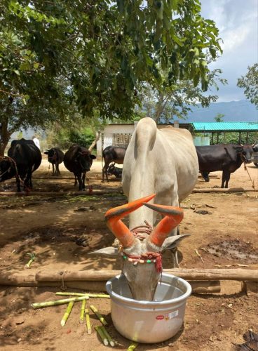 WhatsApp-Image-2025-09-21-at-7.16.42-PM