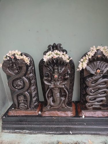 WhatsApp-Image-2025-09-22-at-3.10.35-PM