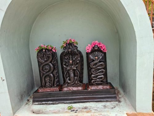 WhatsApp-Image-2025-09-24-at-1.20.16-PM-1