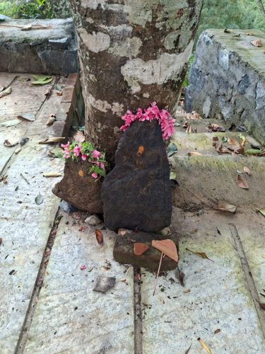 WhatsApp-Image-2025-09-24-at-1.20.17-PM