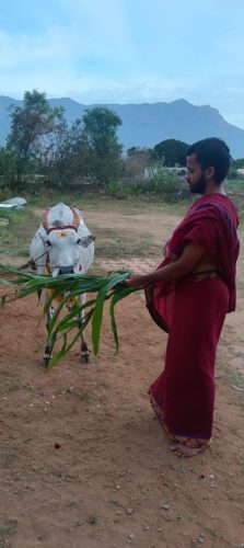 Gopuja on 24-09-2025