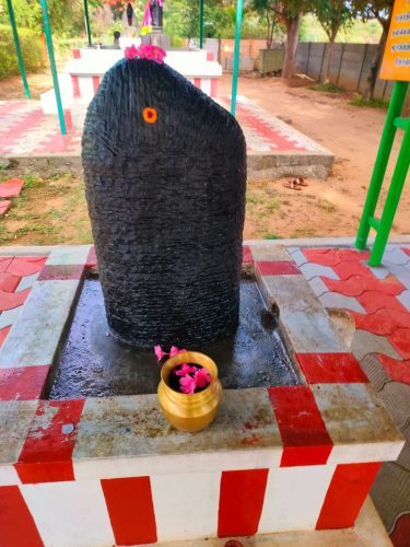 WhatsApp-Image-2025-09-25-at-11.36.40-AM