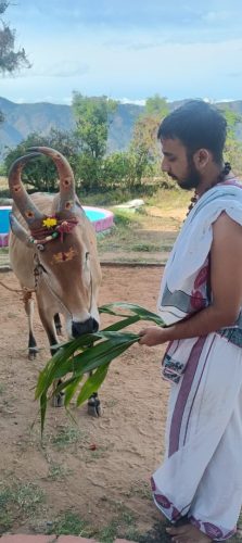 Gopuja on 26-09-2025