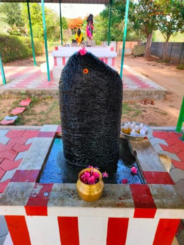 WhatsApp-Image-2025-09-27-at-1.03.05-PM