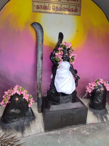 WhatsApp-Image-2025-09-28-at-4.53.28-PM-2