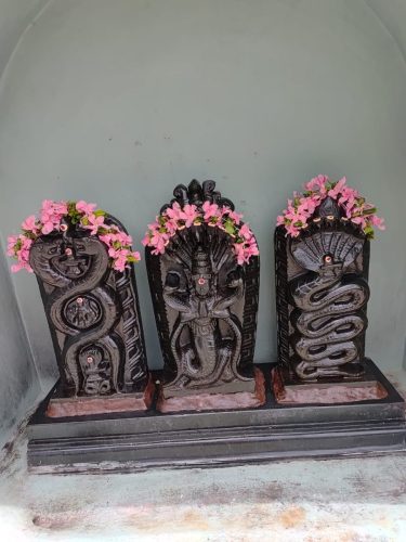 WhatsApp-Image-2025-09-28-at-4.53.31-PM-2