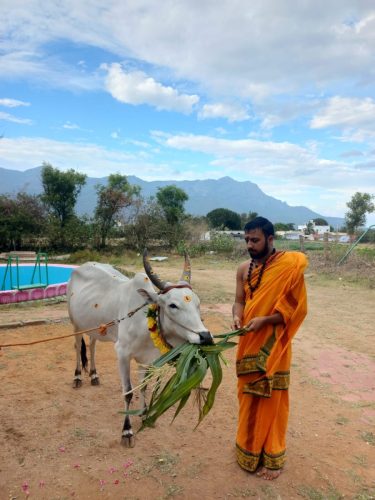 WhatsApp-Image-2025-09-28-at-4.53.36-PM-2