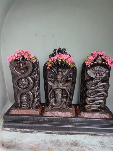 WhatsApp-Image-2025-09-28-at-8.59.53-AM-2