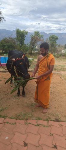 WhatsApp-Image-2025-09-28-at-8.59.57-AM-1