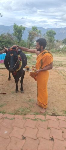 WhatsApp-Image-2025-09-28-at-8.59.58-AM