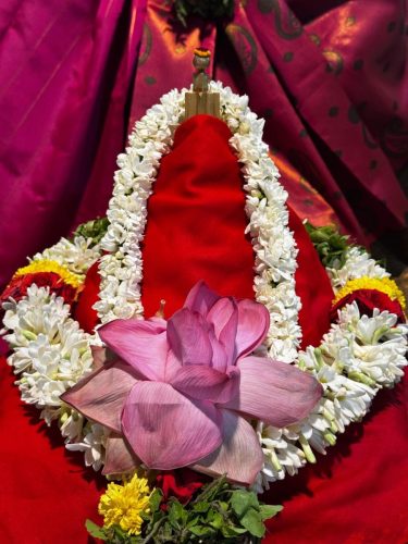 WhatsApp-Image-2025-09-28-at-8.59.59-AM-Copy