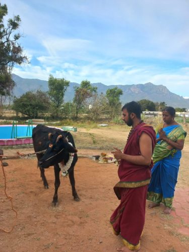 WhatsApp-Image-2025-09-29-at-10.10.02-PM-1