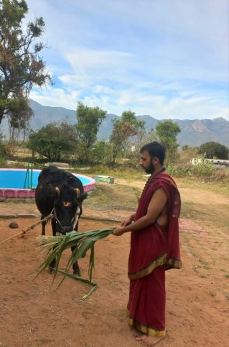 WhatsApp-Image-2025-09-29-at-10.10.02-PM (1)