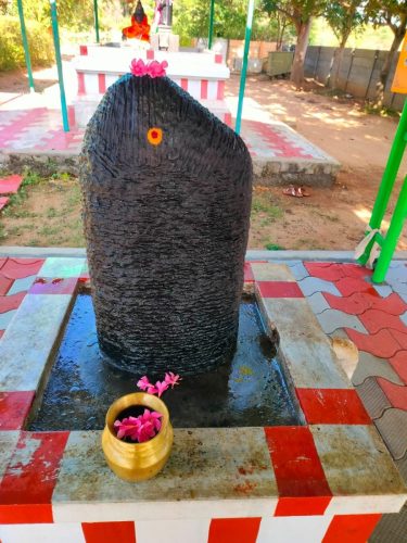 WhatsApp-Image-2025-09-30-at-3.10.04-PM