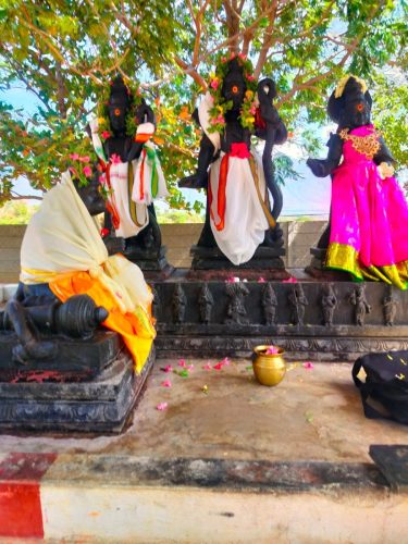 WhatsApp-Image-2025-10-01-at-11.13.50-AM