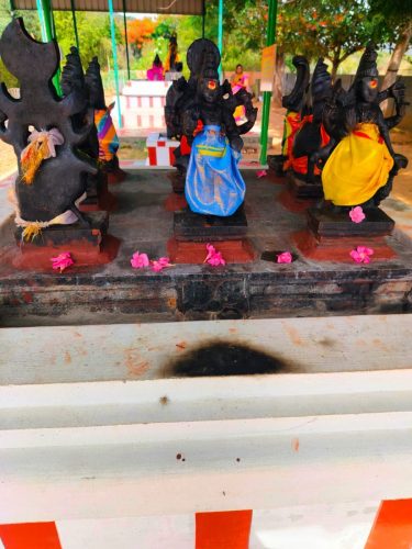 WhatsApp-Image-2025-10-02-at-11.56.11-AM