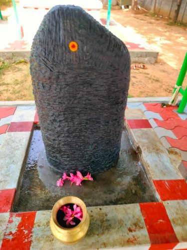 WhatsApp-Image-2025-10-02-at-11.56.13-AM