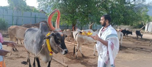 Gopuja on 02-10-2025