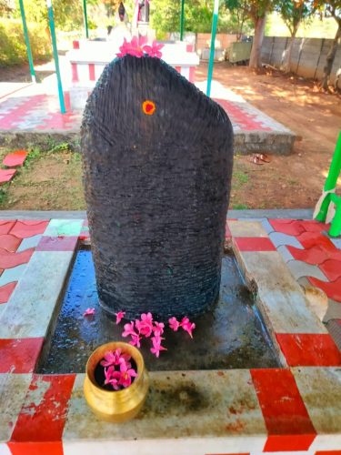 WhatsApp-Image-2025-10-06-at-12.16.49-PM