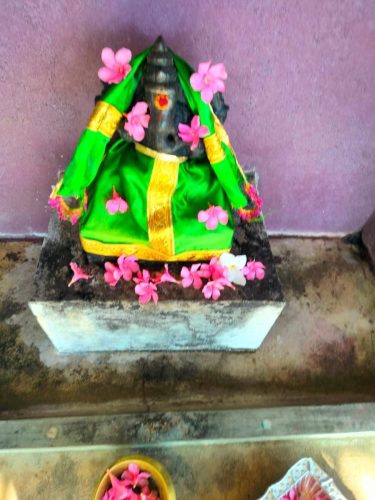 WhatsApp-Image-2025-10-06-at-12.16.50-PM