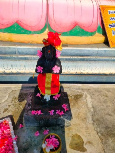 WhatsApp-Image-2025-10-06-at-12.16.52-PM