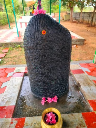 WhatsApp-Image-2025-10-07-at-11.12.27-AM-1