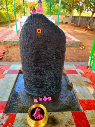 WhatsApp-Image-2025-10-09-at-11.18.35-AM