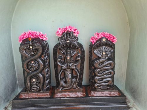 WhatsApp-Image-2025-10-10-at-11.31.47-AM-1