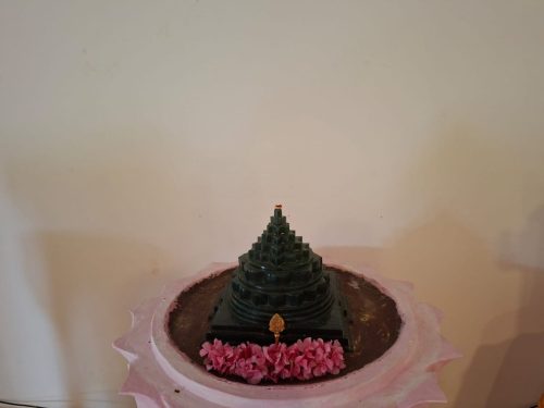 WhatsApp-Image-2025-10-10-at-11.31.51-AM