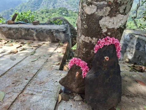 WhatsApp-Image-2025-10-11-at-12.17.14-PM (1)