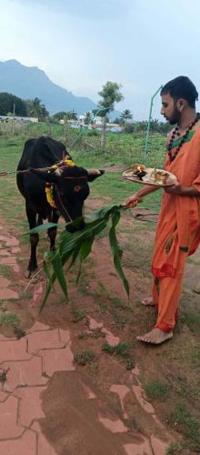 Gopuja on 11-10-2025