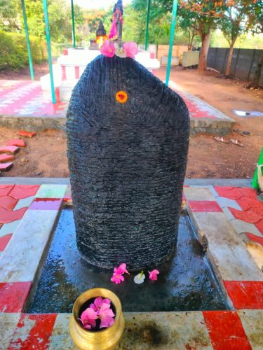 WhatsApp-Image-2025-10-12-at-6.21.58-PM-1