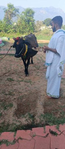 Gopuja on 12-10-2025