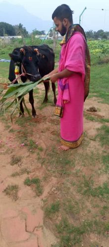 WhatsApp-Image-2025-10-14-at-5.47.28-PM-1