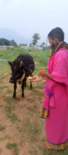 Gopuja on 14-10-2025