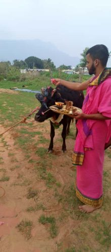 WhatsApp-Image-2025-10-14-at-5.47.34-PM-1